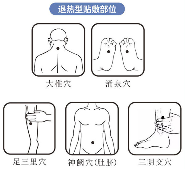 退熱凝膠塗抹位置圖